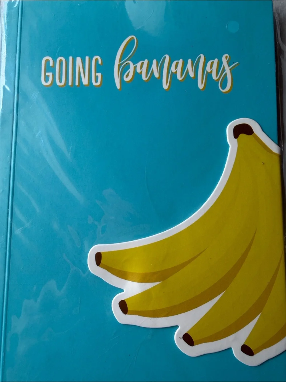🍌📘🍌 Going Bananas Teal Banana Notebook🍌📘🍌 NWT 🍌📘🍌
